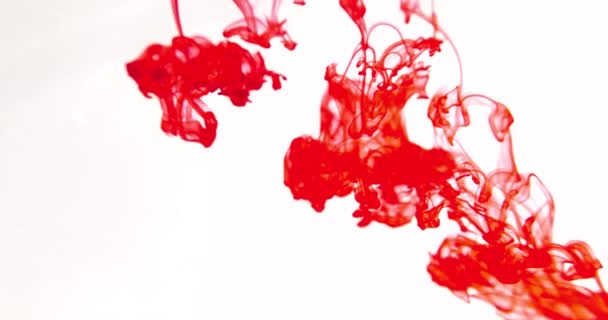 Efeito Explosão Abstrato Colorido Cor Pintura Gira Água Cor Líquido — Vídeo de Stock