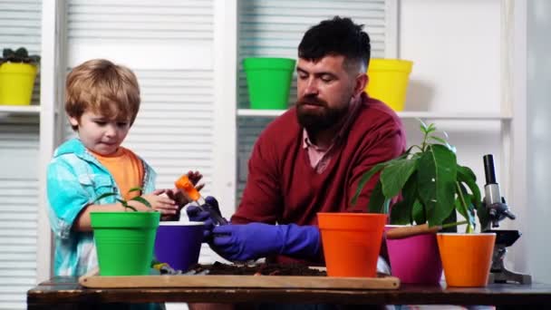 Ojciec Syn Hodują Rośliny Trawce Rodzinne Wakacje Wspólnota Mały Słodki — Wideo stockowe