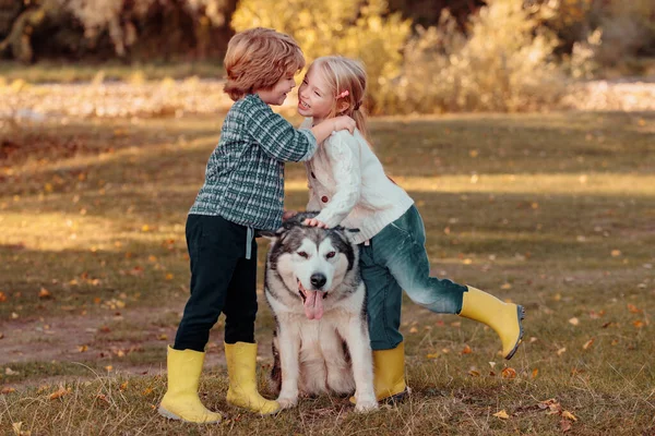 子供たちは物語が大好きです 秋の畑の背景を犬が歩いている小さな子供たちを笑顔 ロマンチックで愛 甘い子供時代 — ストック写真