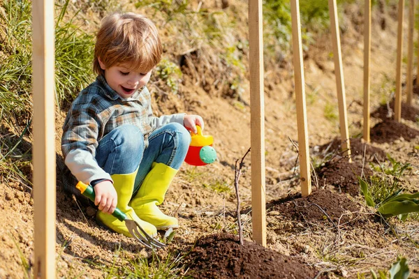 Trädgårdsskötsel Med Barn Plantera Blommor Toddler Arbetar Blommor Park — Stockfoto