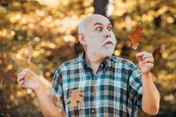 Portret Szczęśliwego Seniora Parku Jesienią Dziadek Dobrze Się Bawi Jesiennym — Zdjęcie stockowe