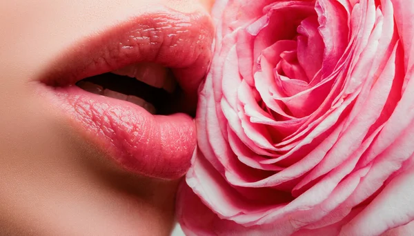 口紅を閉じて唇 バラと美しい女性の唇 毛皮の質感を持つセクシーなフル明るい唇のクローズアップマクロ写真 口を閉じます 美しいです女性唇とともにローズ — ストック写真