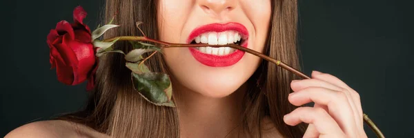 Femme Drôle Tenant Rose Rouge Avec Des Dents Sur Fond — Photo