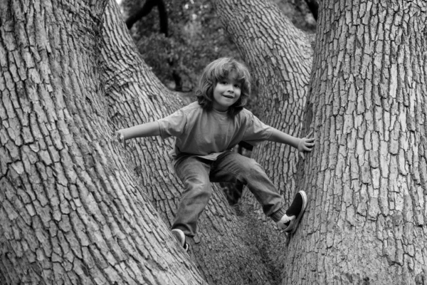 Šťastný Chlapeček Leze Strom Růst Mládeže Dětství — Stock fotografie