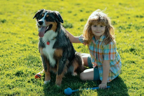 公園にペット犬の屋外を持つ小さな子供の男の子 子犬の犬とかわいい子供 屋外の夏 幸せな子供時代 おかしい犬 — ストック写真