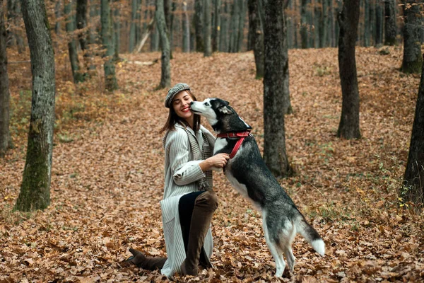 Treinamento Animal Conceito Cão Pedigree Melhores Amigos Menina Gosta Andar — Fotografia de Stock