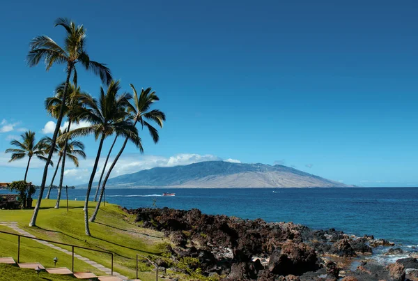 Palmen Insel Paradies Tapete Tropische Palmen Kokospalmen Himmel Hintergrund Der — Stockfoto