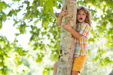 Cute little kid boy enjoying climbing on tree on summer day. Cute child learning to climb, having fun in forest or park on sunny day. Happy time and childhood in nature