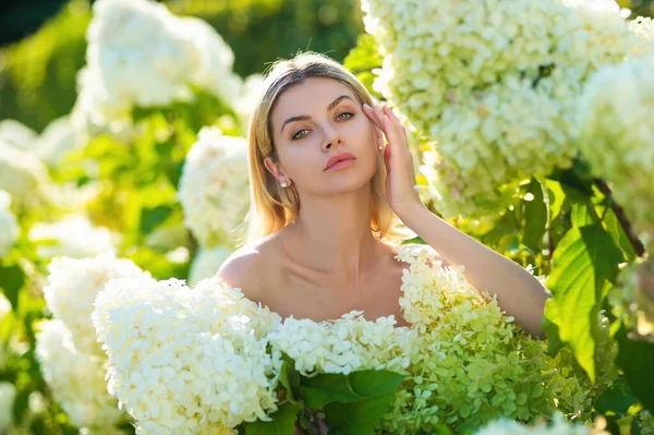 Donna Sensuale Cespuglio Fiorente Fiori Ortensia Giardino Primavera Ortensie Arbusti — Foto Stock