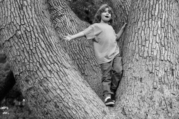 小孩爬上了一棵树 金发小男孩喜欢在树上爬树 孩子们学着爬山 在春天的花园里和户外玩得很开心 — 图库照片