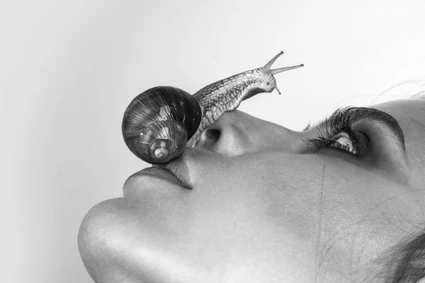 화장품과 달팽이 메이크업 얼굴과 귀여운 달팽이 달팽이로 마사지하십시오 스킨케어 리페어링 — 스톡 사진
