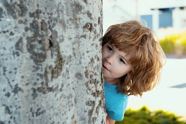 Saklambaç Oynayan Çocuklar Ağaçta Saklanan Küçük Çocuk — Stok fotoğraf