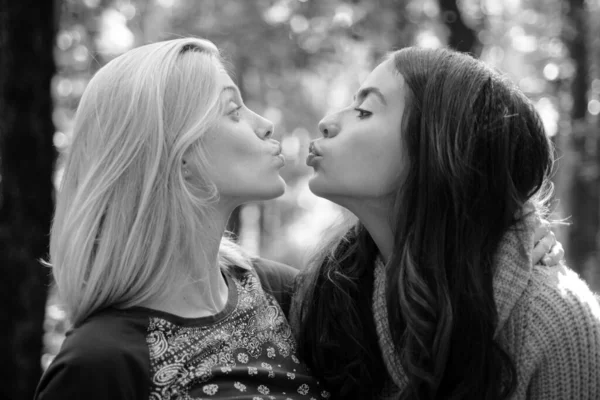友好的吻很高兴见到你 女孩朋友接吻少女友谊的概念 金发和黑发走在秋天公园去焦点的背景 女人亲吻可爱的脸特写 来吻我 — 图库照片