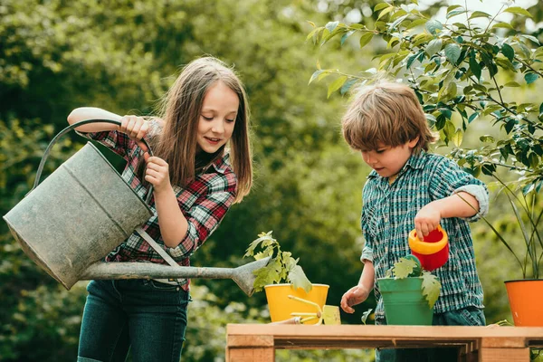 Çiftlikteki Amerikalı Çocuklar Tatlı Çocukluk Yaz Tarlasında Mutlu Çocuklar Çiftlikte — Stok fotoğraf