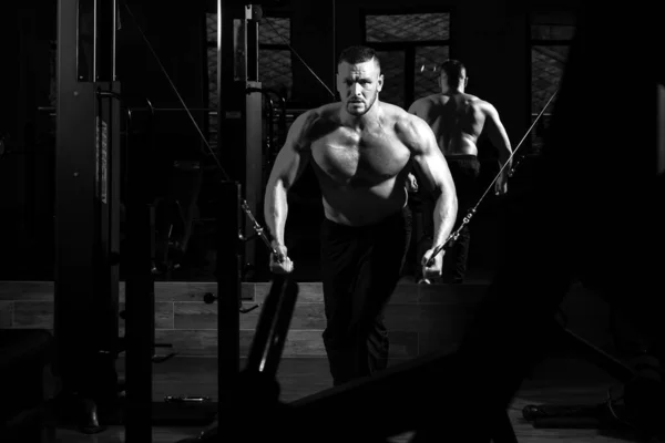 Güçlü Kaslı Adam Spor Salonundaki Egzersizleri Yukarı Itiyor Trisepslerde Egzersiz — Stok fotoğraf