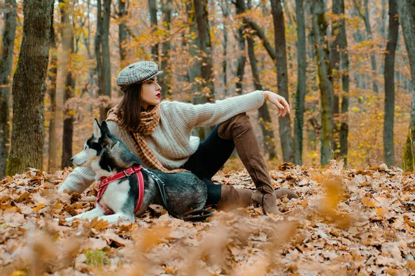 Autumn Girl walking with husky dog autumn forest. Animal training. Best friend. Autumn Girl enjoy walk with husky dog. Walking a dog in the autumn forest