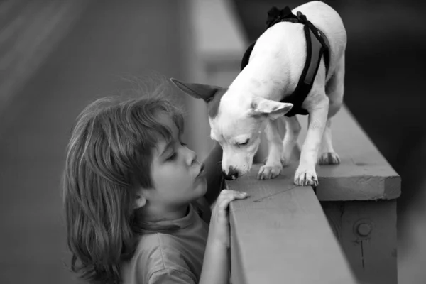 Χαριτωμένο Παιδί Κουτάβι Αγοράκι Φιλάει Τον Σκύλο Φιλία Φροντίδα Κατοικίδιων — Φωτογραφία Αρχείου