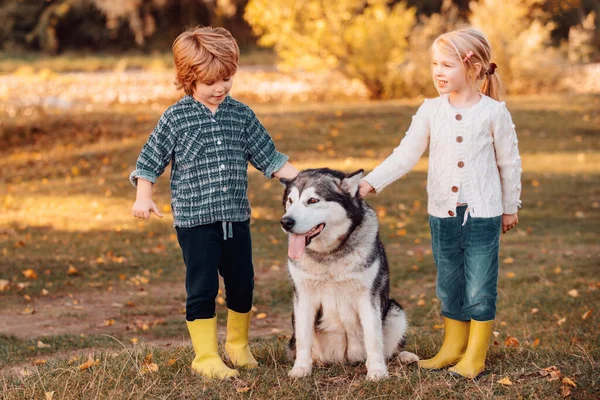 Ευτυχισμένα Παιδάκια Που Διασκεδάζουν Σκυλάκι Τους Στο Γήπεδο Παιδί Ετών — Φωτογραφία Αρχείου