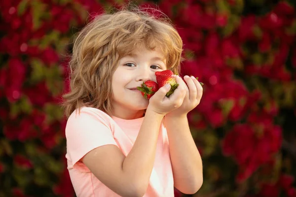 子供は新鮮なイチゴを食べる イチゴを食べる子供 — ストック写真