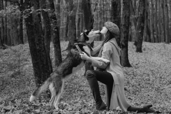 Höstens Kvinnopark Vacker Ung Kvinna Leker Med Rolig Husky Hund — Stockfoto