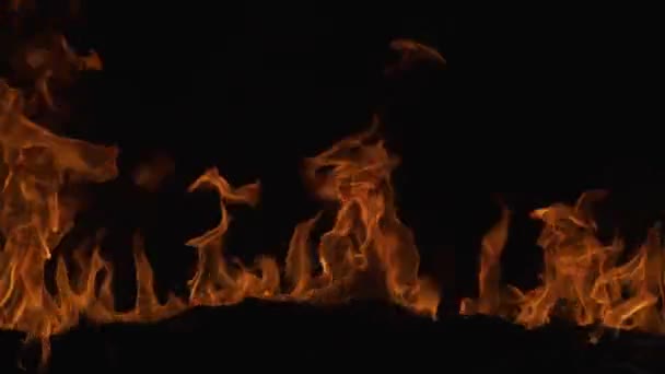 Pal Abstraktní Pozadí Ohně Plamenů Hoří Velký Plamen Požár Plameny — Stock video