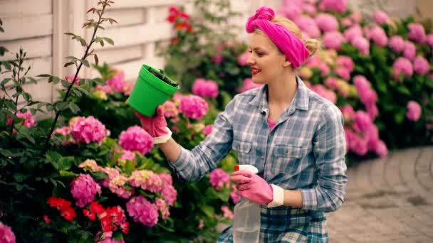 Ελκυστική Χαριτωμένο Κηπουρός Γυναίκα Στην Πίσω Αυλή Cere Λουλούδια Ορτανσία — Αρχείο Βίντεο
