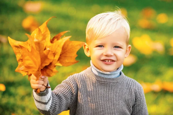 Adorable Happy Boy Playing Fallen Leaves Autumn Park — Stock Photo, Image