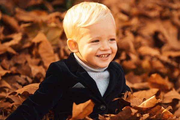 快乐的孩子在秋天的公园里玩落叶游戏 小男孩玩金黄落叶游戏很开心 — 图库照片