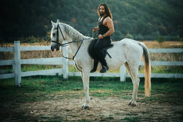 Muskulöser Oberkörper Eines Männlichen Reiters Pferd Reiten Sexy Männerhengst Pferd — Stockfoto