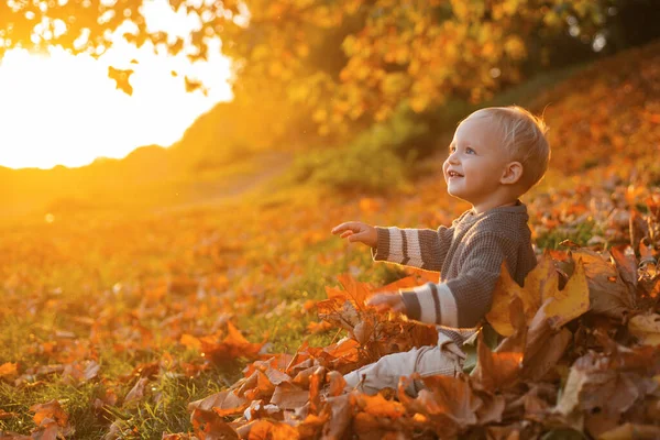 Παιδικές Αναμνήσεις Παιδί Φθινόπωρο Αφήνει Φόντο Ζεστές Στιγμές Φθινοπώρου Μικρά — Φωτογραφία Αρχείου