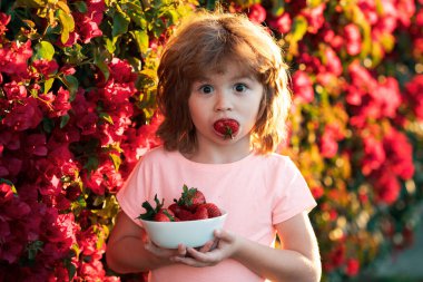Doğada çilek yiyen küçük bir çocuk. Çocuk lezzetli bir böğürtlenin tadını çıkarıyor