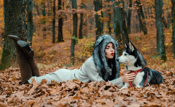 Wild Der Seele Siberian Husky Lieblingstier Tierhaltung Mädchen Ziemlich Stylische — Stockfoto