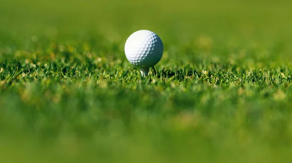 Golflabda Zöld Füvön Zászlós Sport Golf Labda Háttérben Másolás Tér — Stock Fotó