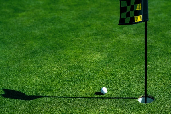 高尔夫球洞 草底杯唇上的高尔夫球 — 图库照片