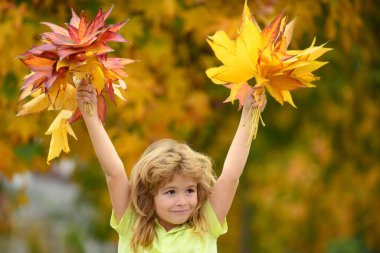 Kids play in autumn park. Children portrait with yellow leaves. Child boy with oak and maple leaf outdoor. Fall foliage. Kid boy playing with leaves in fall autumn park