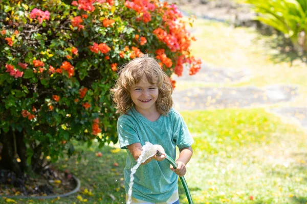 의정원에서 재미있게 자녀는 정원에 호스를 잡는다 수확기에 뒷마당에서 아이들을 활동적 — 스톡 사진