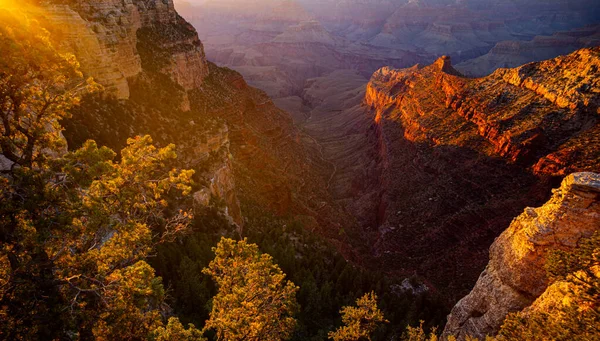 Grand Canyon Kuzey Kenarı Golden Sunset Arizona Canyon Ulusal Parkı — Stok fotoğraf