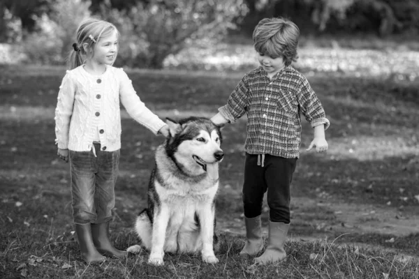 Ευτυχισμένα Παιδάκια Που Διασκεδάζουν Σκυλάκι Τους Στο Γήπεδο Παιδί Ετών — Φωτογραφία Αρχείου