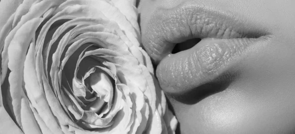 Lábios Mulher Bonita Com Rosa Close Mulher Sexy Lábios Naturais — Fotografia de Stock