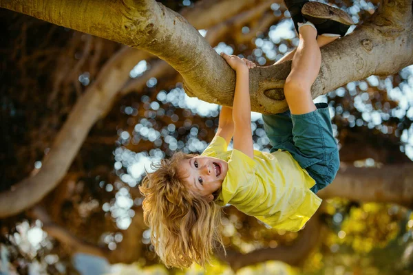 Kleiner Blonder Junge Klettert Auf Baum Glückliches Kind Spielt Garten — Stockfoto