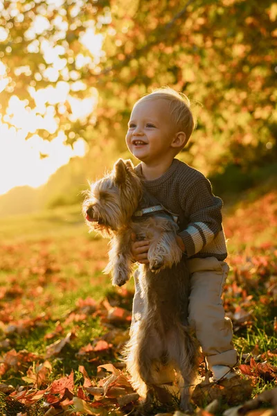 Simpel Geluk Leuke Jeugdherinneringen Kind Spelen Met Yorkshire Terriër Hond — Stockfoto