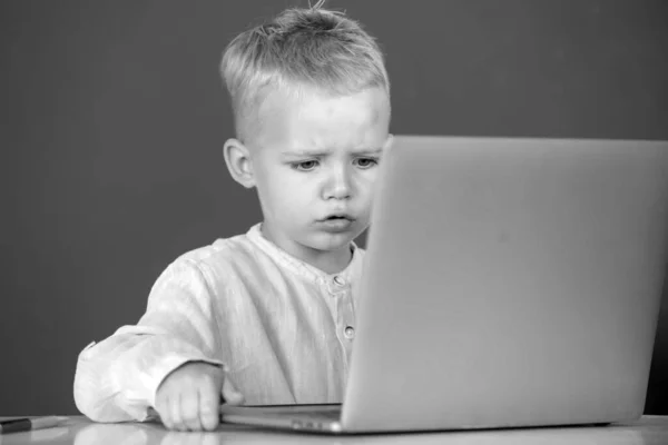 Criança Concentrada Séria Usando Computador Portátil Garoto Estudando Através Learning — Fotografia de Stock
