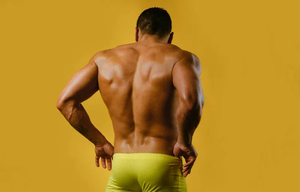 Sexy male back. The back view of torso of attractive male body builder on yellow background. Rear view of a bare-chested muscular young man in sexy panties underwear
