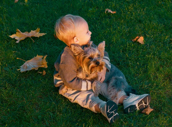 Zwykłe Szczęście Małe Dziecko Maluch Słoneczny Jesienny Dzień Spacer Psem — Zdjęcie stockowe