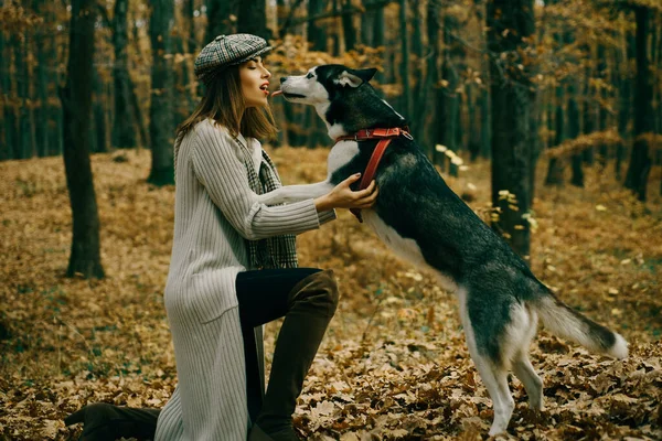 Tierdressur Mädchen Ziemlich Stylische Frau Spazieren Mit Husky Hund Herbst — Stockfoto