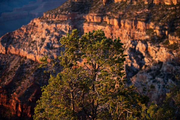 Kaňonová Skála Monument Valley Panoramatický Výhled Národní Park Canyon — Stock fotografie