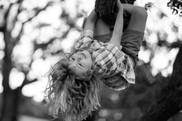 夏の公園で楽しんで 登ることを学ぶかわいい子供 子供たちは木に登り 公園の木の上で逆さにぶら下がっています 横になって 幼少期の概念 — ストック写真