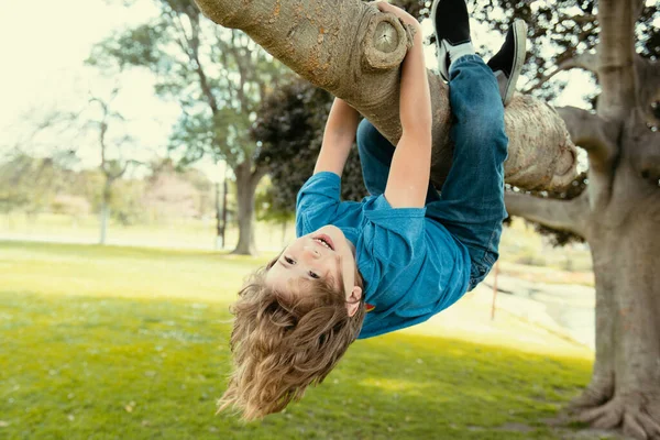 Mały Zabawny Dzieciak Wspinający Się Drzewo Parku — Zdjęcie stockowe