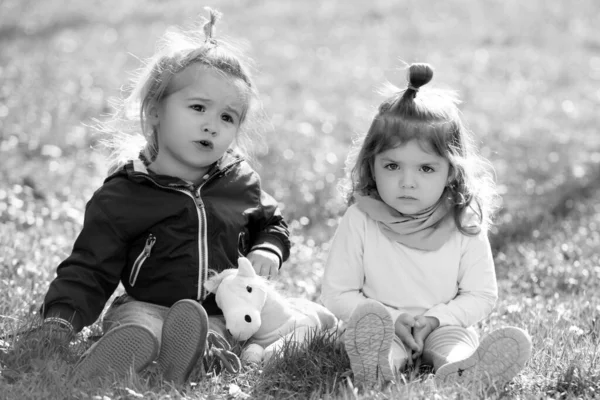 잔디에서 아이들은 정원에서 소풍을 즐기고 형제자매들은 초원에서 있습니다 공원의 위에서 — 스톡 사진