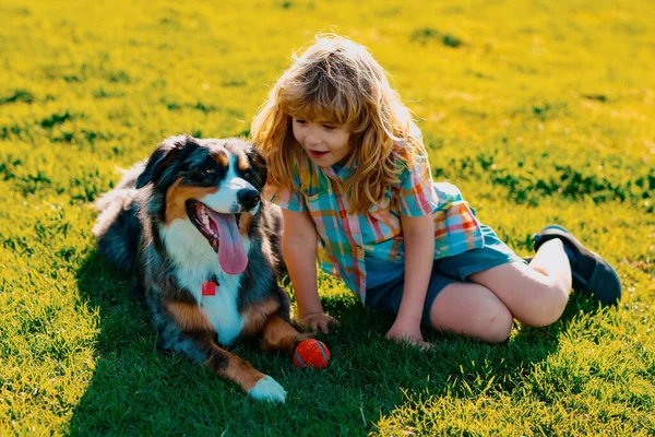 Menino Loiro Com Seus Outdooors Cachorro Estimação Parque Criança Com — Fotografia de Stock